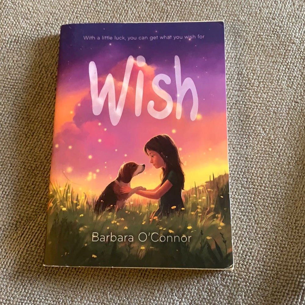 Wish Novel